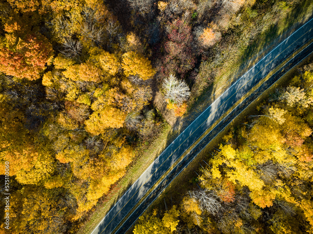 Aerial view of beautiful autumn colors forest