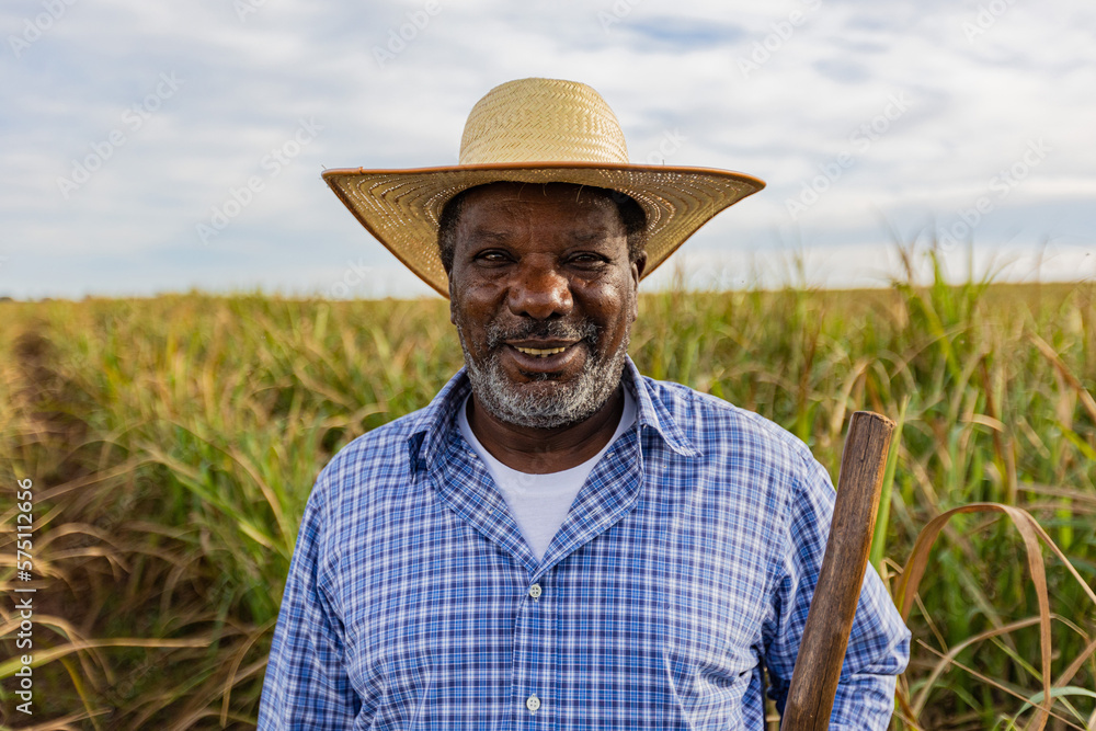 Black male farmer smiling. Brazilian farmer. Family farming. Sugar cane. Closed Plan.
