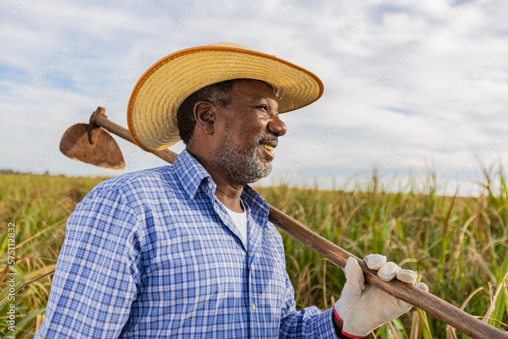 Black farmer smiling with a hoe in his hands Brazilian farmer Family Black farmer smiling with a hoe in his hands Brazilian farmer Family