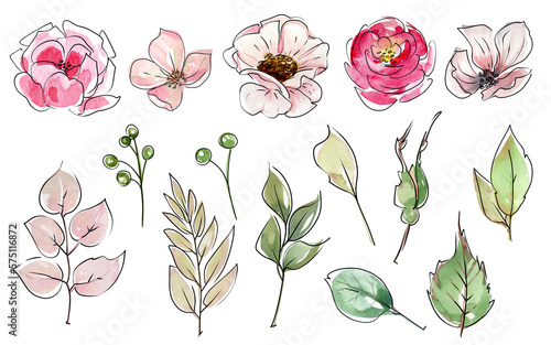 Fototapeta Naklejka Na Ścianę i Meble -  Watercolor flowers with line graphic sketches. Watercolor and sketch. Minimalistic flowers, Sketch, abstract flowers. Pink roses and green leaves.