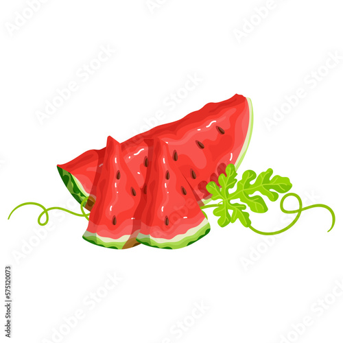 Ripe juicy watermelon slices.Vector graphics.
