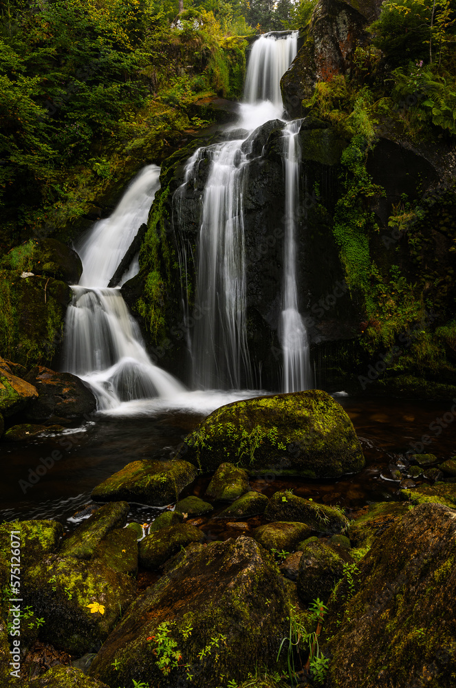 Obraz premium Triberger Wasserfall 6