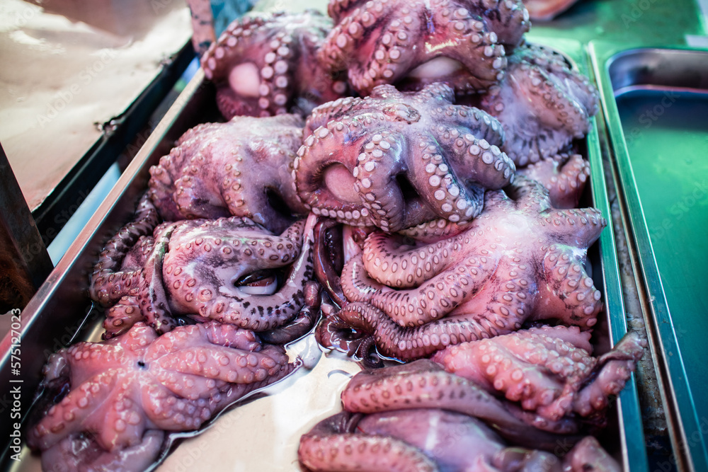 Fresh raw octopus sold on market in Malta Fresh raw octopus sold on market in Malta