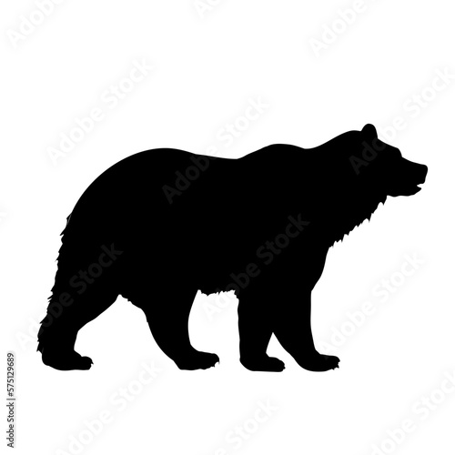  silhouette of a bear