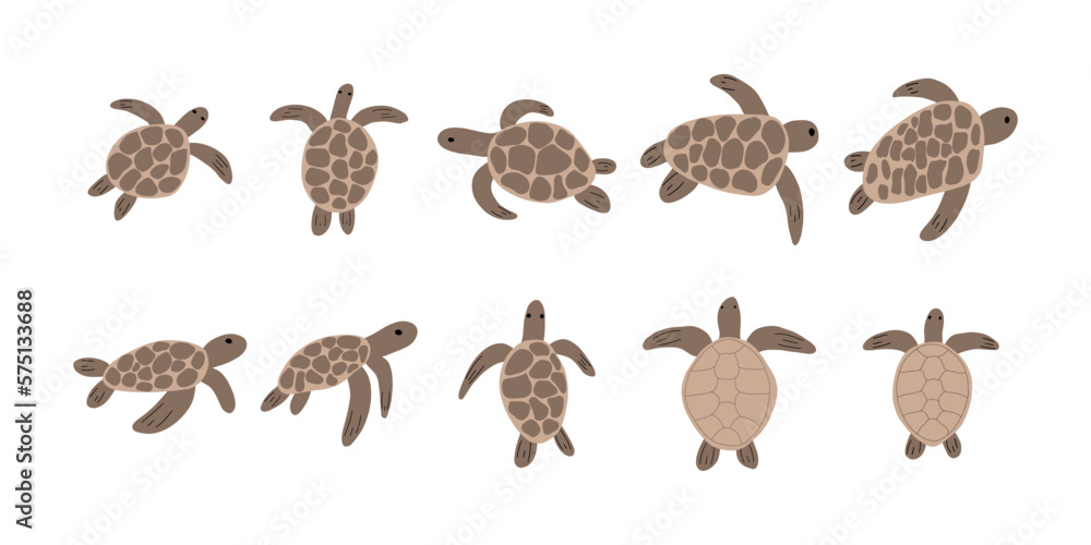 Turtle Character sea animal on deep background. Wild life illustration. Underwear world. Vector illustration. Turtle Character sea animal on deep background. Wild life illustration. Underwear world. Vector illustration.