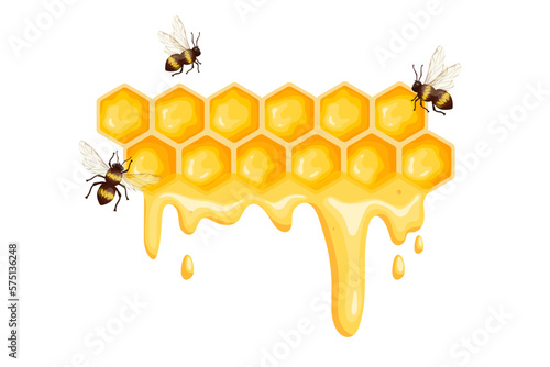 Honeycomb with honey and honey bees.Cartoon vector graphic.