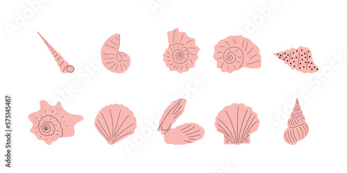 Tropical underwater seashell. Hand drawn sea mollusk shellfish element. Vector illustration in scandinavian style.