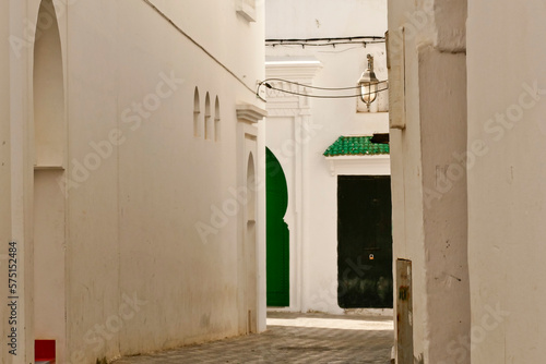 Assillah, la perla bianca dell'Atlantico. Marocco. Case bianche con finiture indaco e verde e pitture murali fanno di questa piccola città un esempio di bellezza architettonica © anghifoto