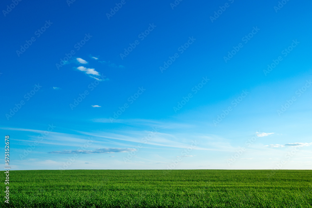 green field and blue sky