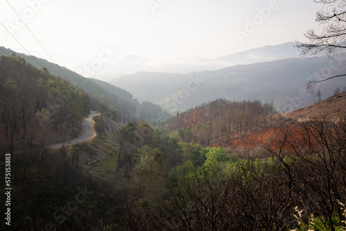 a view of Ancares Courel mountain range on a morning haze next to Quiroga, province of Lugo, Galicia, Spain - June 2022 photo