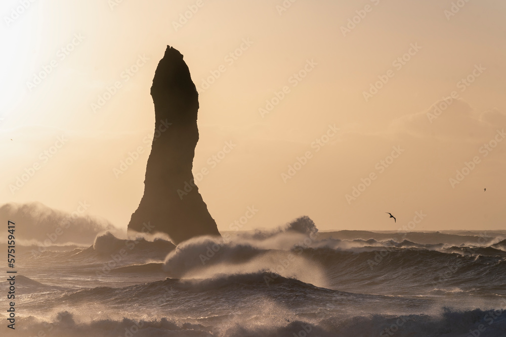 Sunrise at Black beach in Iceland with the beautiful rock formation