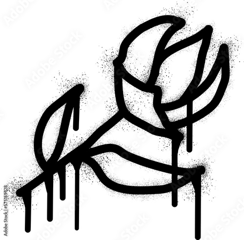 Abstract floral design stencil graffiti with black spray paint