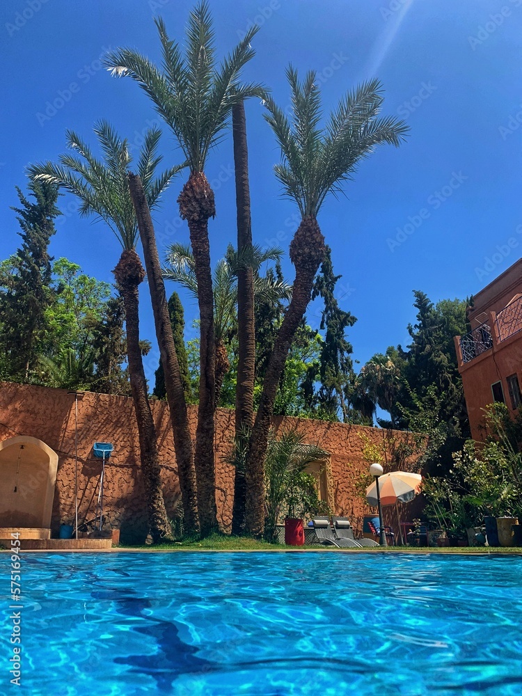 relaxing scene of a swimming pool in Marrakech, Morocco