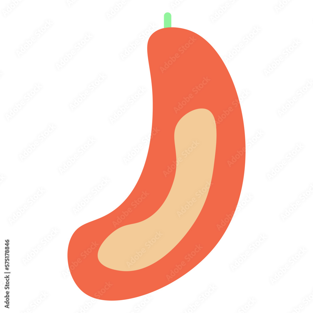 papaya illustration papaya illustration