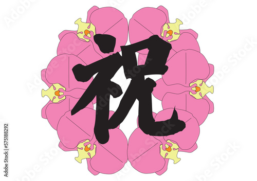 お祝い　胡蝶蘭