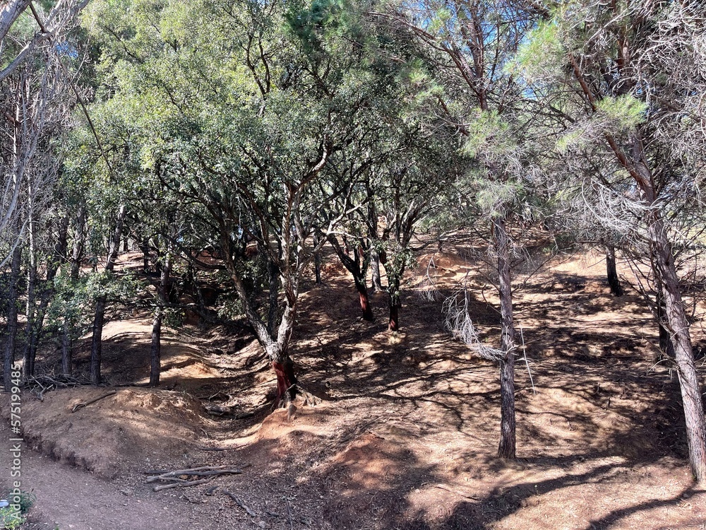 Fototapeta premium Ojen Protected Wild fare area , Malaga - Spain 