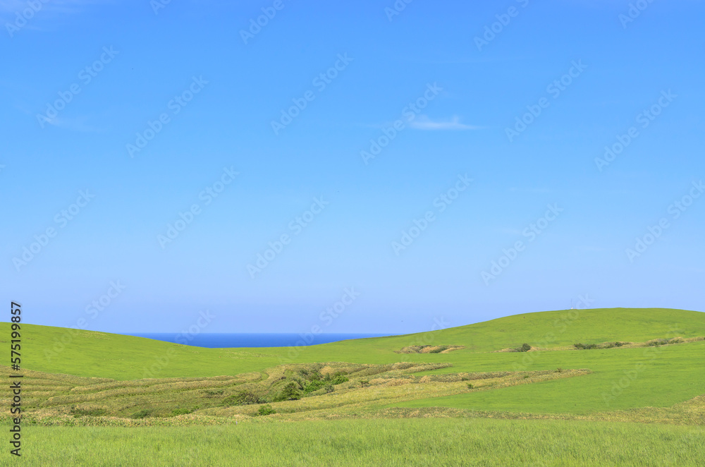 Fototapeta premium 北海道 宗谷丘陵 