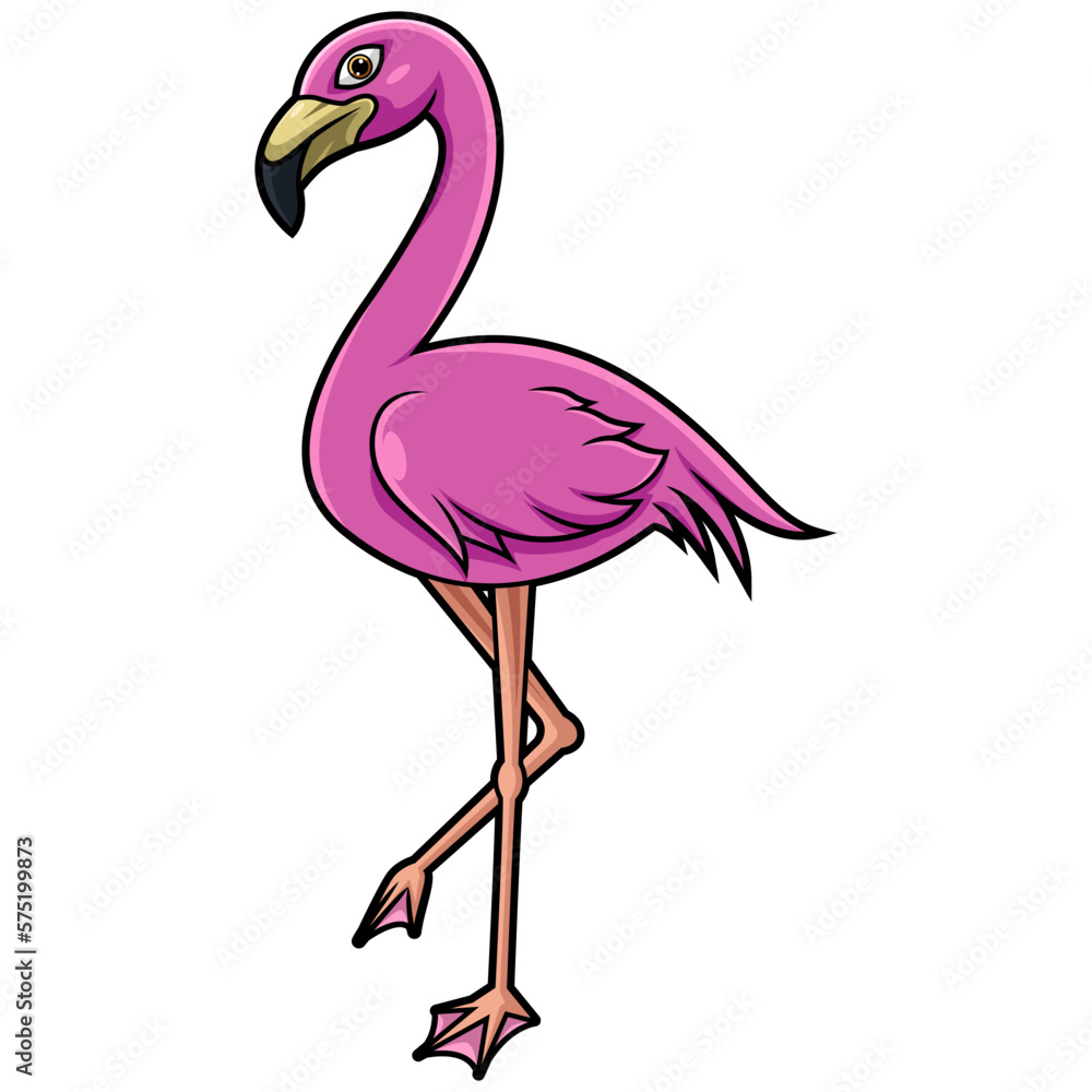 Cute flamingo cartoon on white background