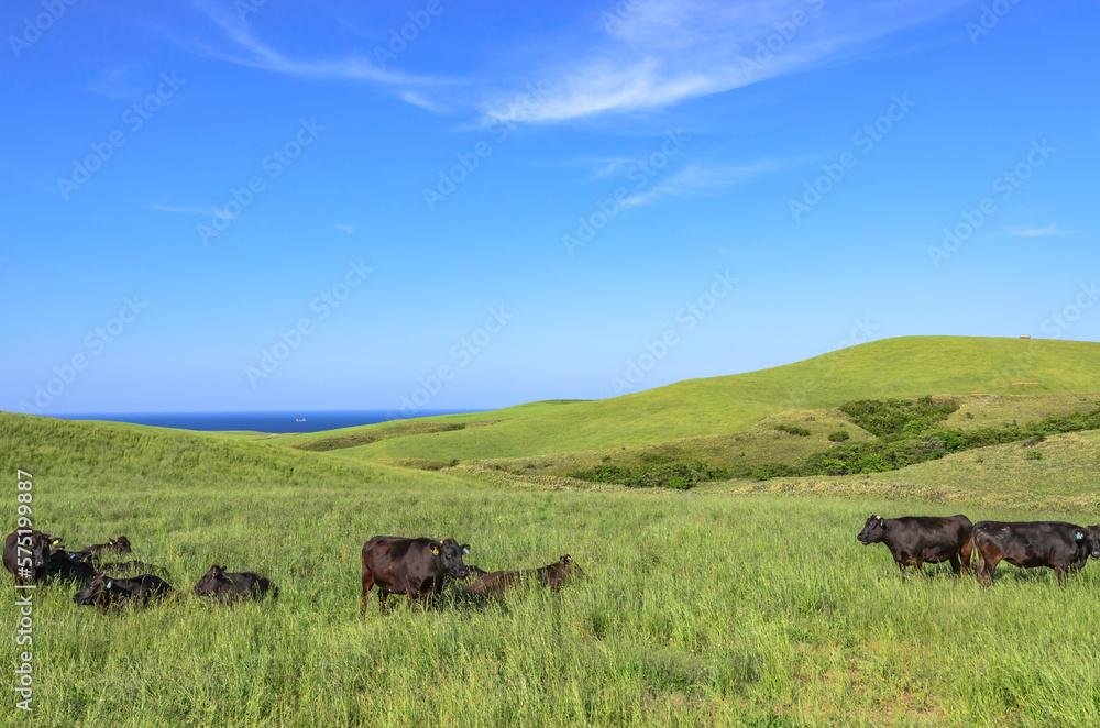 北海道 宗谷丘陵
北海道 宗谷丘陵