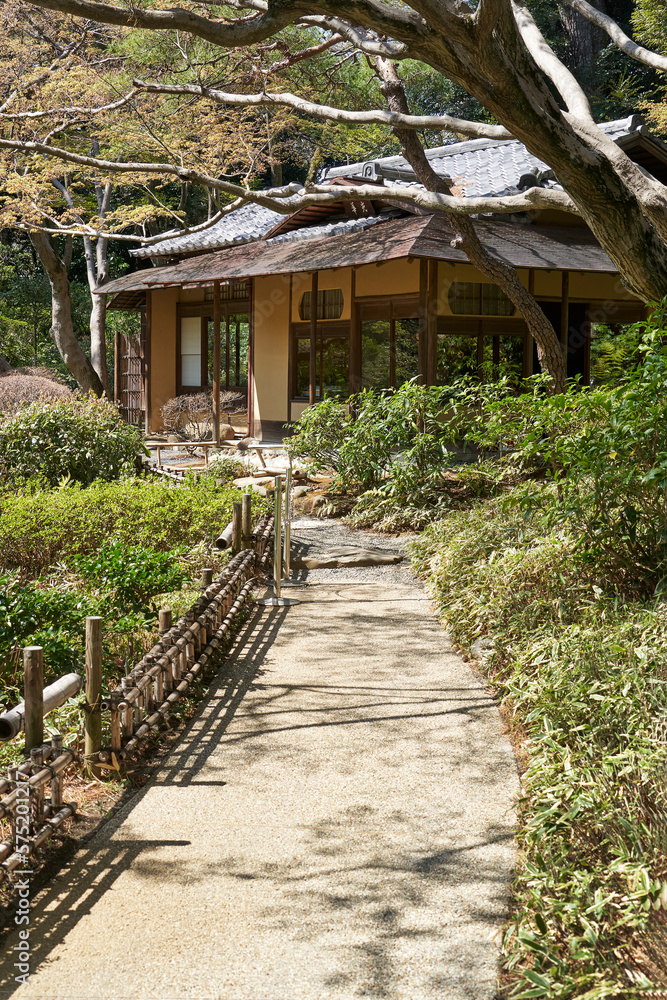 Fototapeta premium 東京庭園美術館, 日本庭園