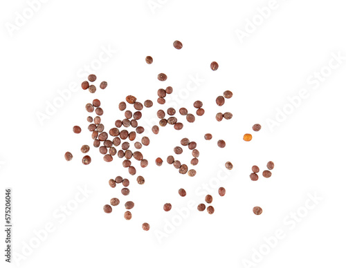 Photo mustard seeds isolated on transparent png