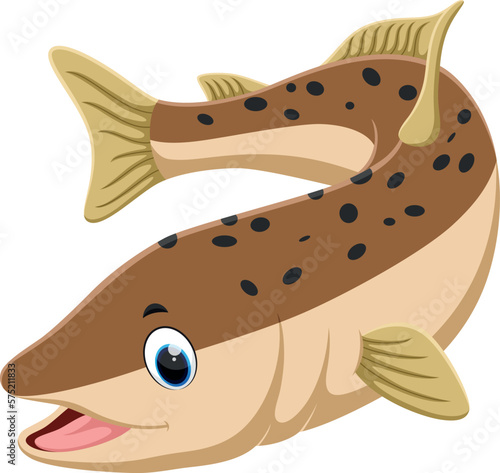 Salmon Fish cartoon, isolated on white 