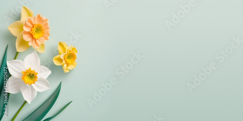 Spring Sensations: Captivating Daffodils on Display