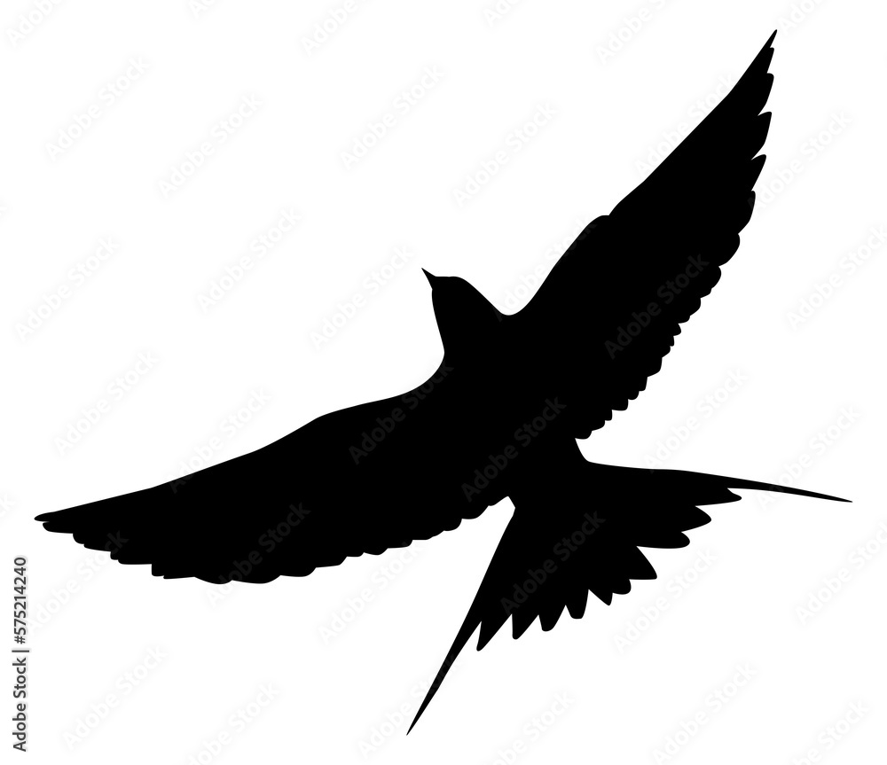 Flying of the Swallows, Martins, and Saw wings, or Hirundinidae Bird Silhouette for Logo, Pictogram, Website, Art Illustration or Graphic Design Element. Vector Illustration Flying of the Swallows, Martins, and Saw wings, or Hirundinidae Bird Silhouette for Logo, Pictogram, Website, Art Illustration or Graphic Design Element. Vector Illustration