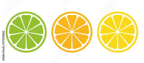 citrus slice icons set