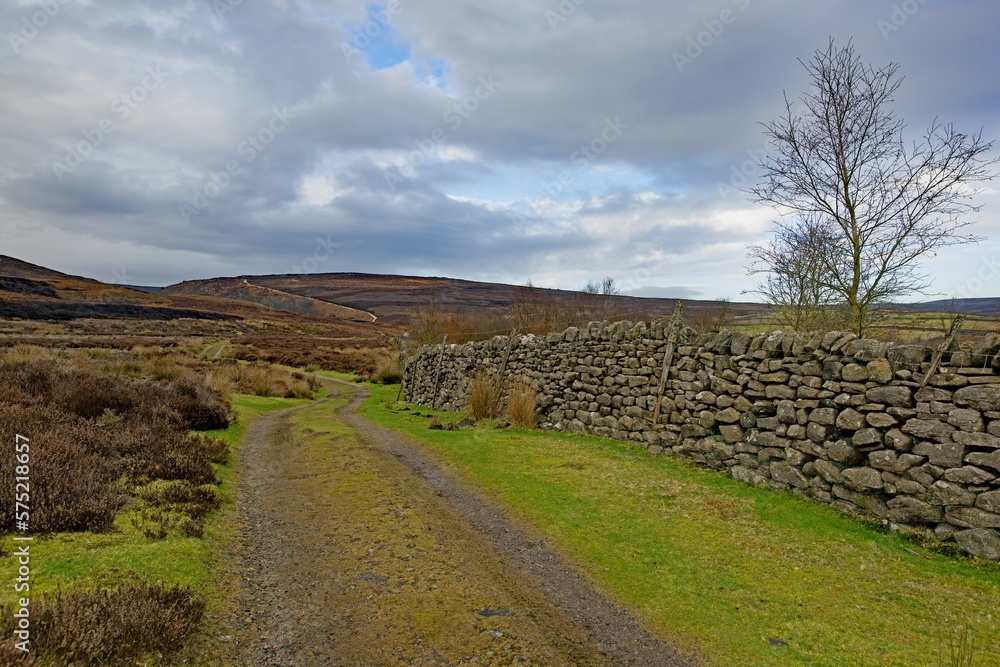 Obraz premium The approach to Simon's Seat, Wharfedale, North Yorkshire, England.