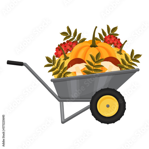 Autumn symbol. garden wheelbarrow with pumpkins, mushrooms and leaves. isolated on white. Vector illustration.