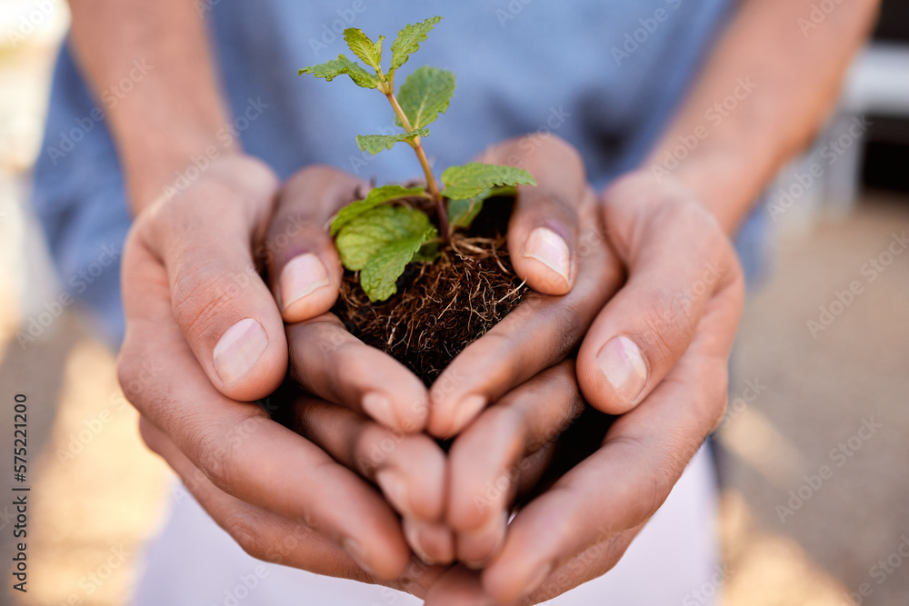 Plants, hands and people in teamwork, community and earth day for support, sustainability and climate change. Closeup, growth and holding soil, sand and spring leaf in nature, environment ngo or hope