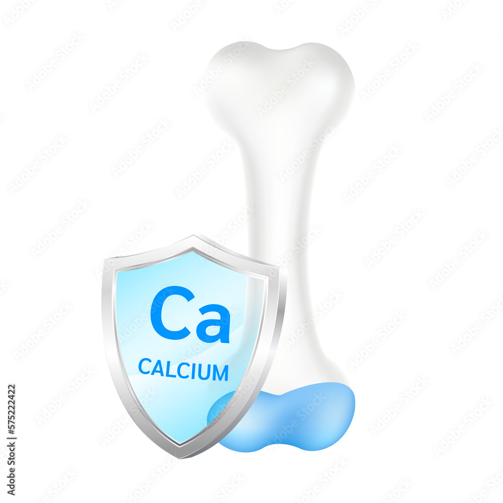 Healthy bone anatomy and shield minerals calcium. Medical or healthcare concept. Realistic 3D File PNG. Healthy bone anatomy and shield minerals calcium. Medical or healthcare concept. Realistic 3D File PNG.