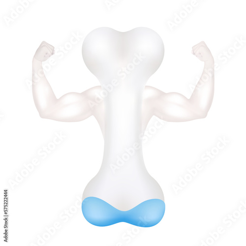 Healthy bone full of calcium arms showing white strong muscles powerful. Exercises and eat healthy food. Health concept. Realistic 3D File PNG.