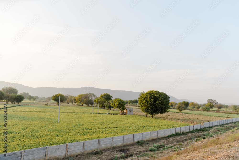 Fototapeta premium Delhi–Mumbai Expressway