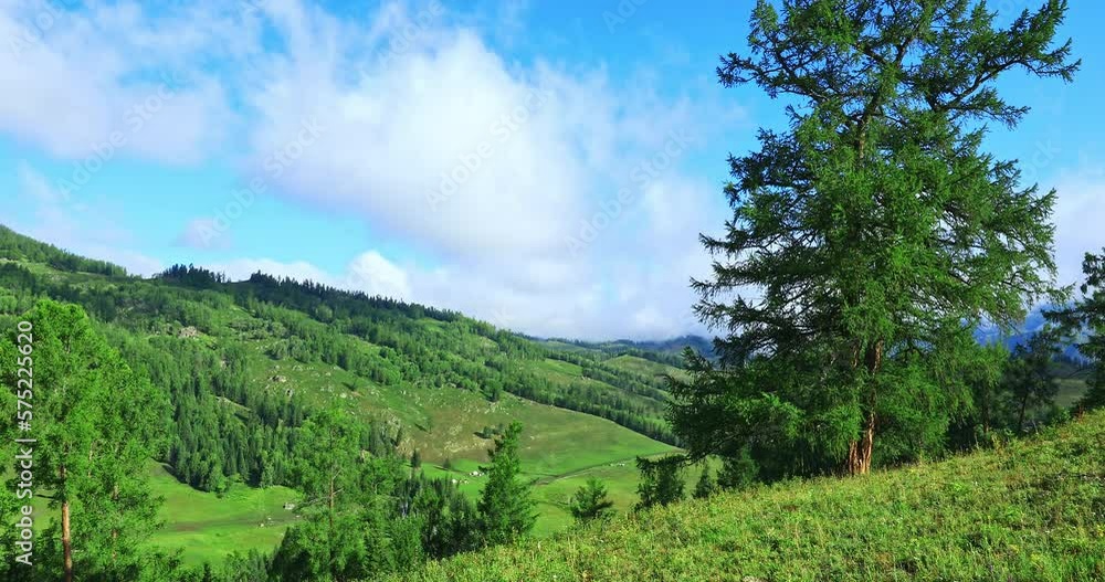 Aerial view of the green mountain natural scenery in Xinjiang, China. Green meadows and forest with mountain range background. Aerial view of the green mountain natural scenery in Xinjiang, China. Green meadows and forest with mountain range background.