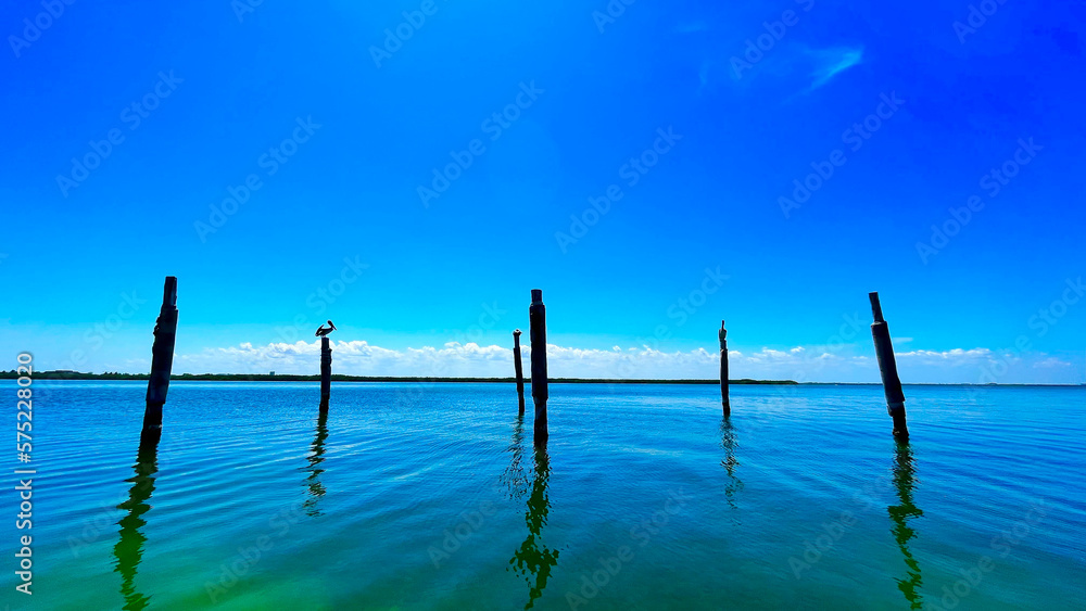 timber piles at a pier