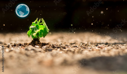 Hologram natural green small plant growing on soil and watering or raining, environment and science concept.
