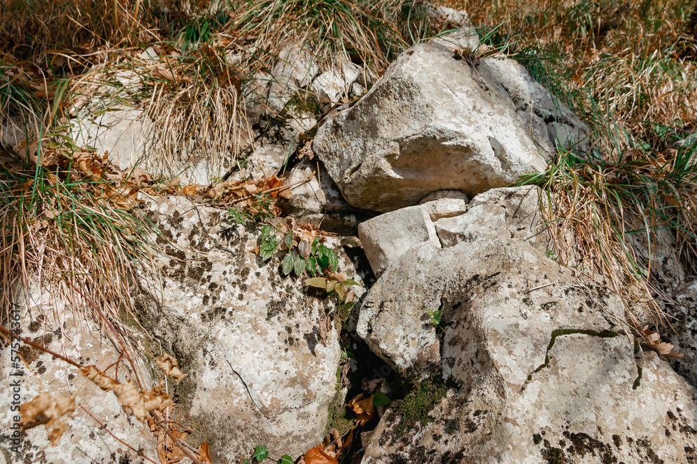 Textured stones of rocky mountain. A rock overgrown with green vegetation. Textured stones of rocky mountain. A rock overgrown with green vegetation.
