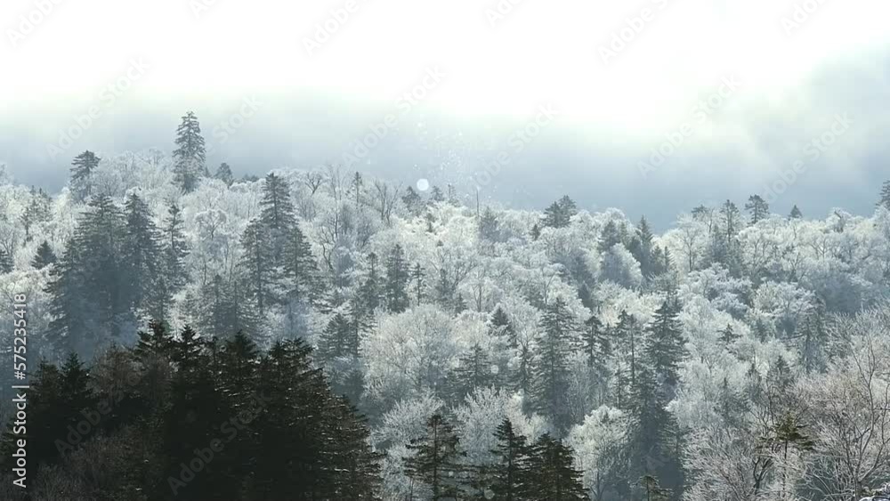 霧氷の木々とダイヤモンドダスト 霧氷の木々とダイヤモンドダスト