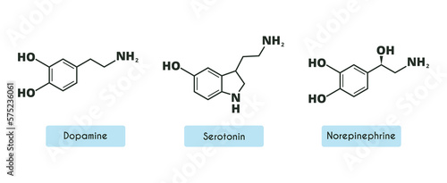 Dopamine, Norepinephrine (noradrenaline) and serotonin molecular structure. neurotransmitter molecule. Skeletal chemical formula. Hormone of happiness and joy. Vector illustration isolated on whitе photo