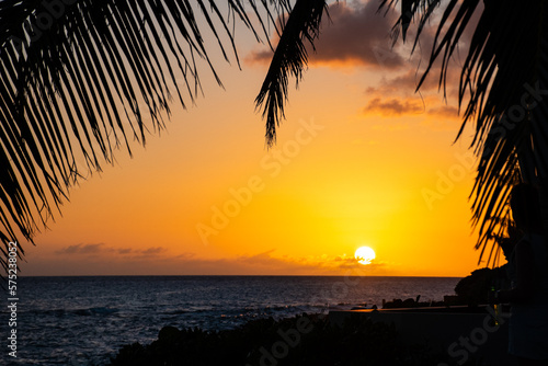 tropical Caribbean coastal sunset with hardly any clouds in a yellow sky and warm water ocean framed by palm tree leaves for romantic travel effect. Flat calm sea surface creates inviting scene 