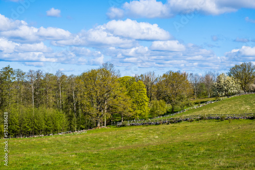 Rural landscape view with budding trees at spring