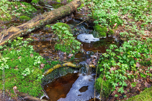 Running water in a forest creek