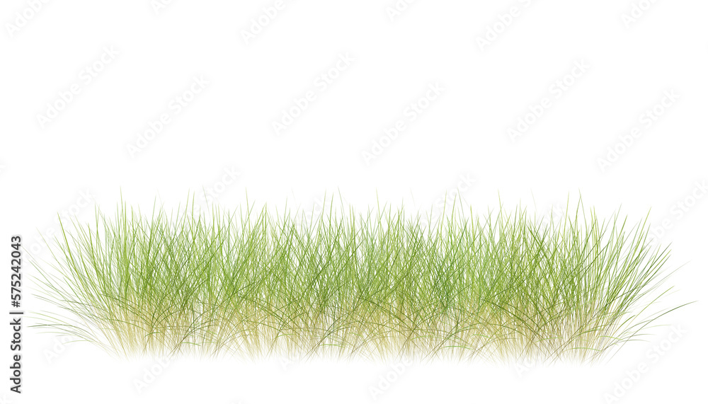 Bunches of grass on a transparent background. 3D rendering. Bunches of grass on a transparent background. 3D rendering.