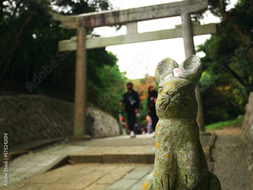 鳥取県の白兎神社
