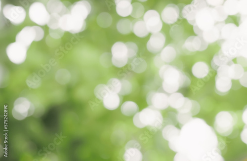 Abstract green color with shiny light for natural background