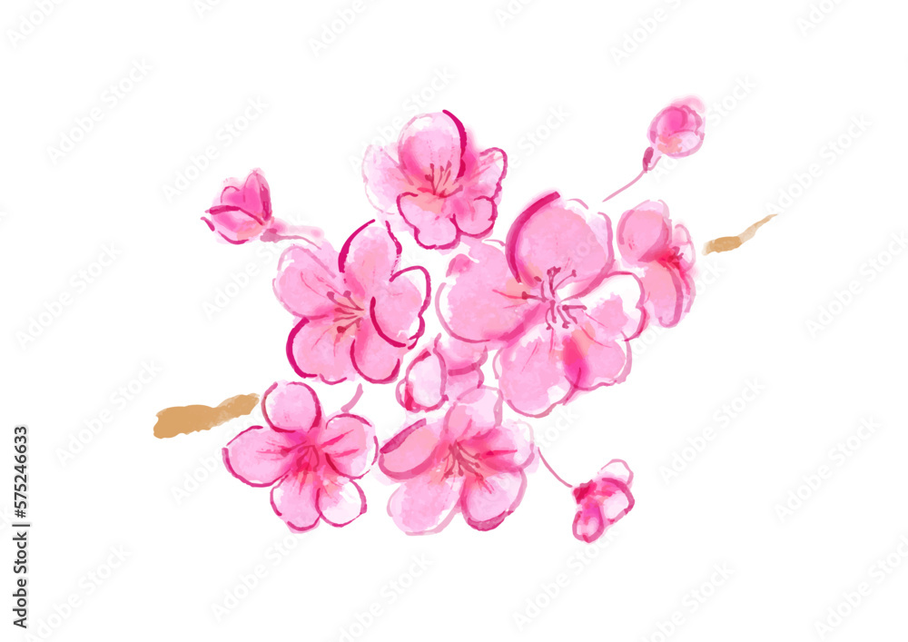 桜の花の手描き和風ベクターイラスト