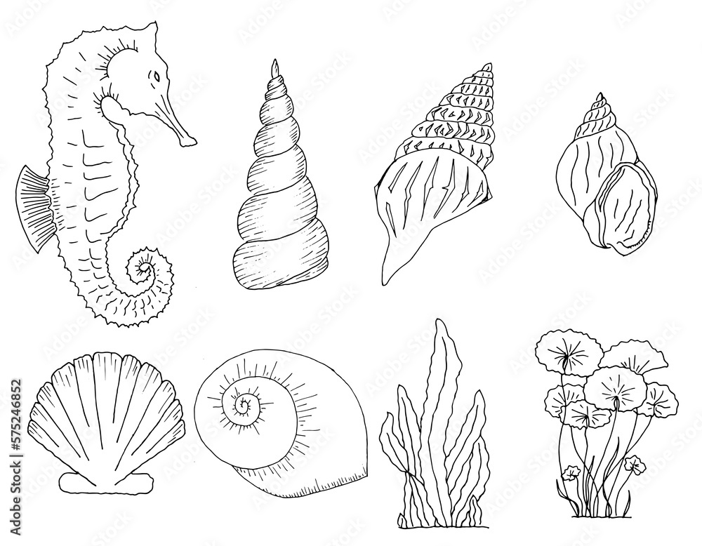 Set of hand drawn seashell, seahorse and seaweed Set of hand drawn seashell, seahorse and seaweed