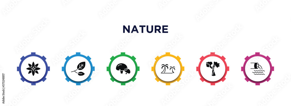nature filled icons with infographic template. glyph icons such as petals, branches with leaves, mushroom with spots, palm islands, silver maple tree, waste water vector. nature filled icons with infographic template. glyph icons such as petals, branches with leaves, mushroom with spots, palm islands, silver maple tree, waste water vector.